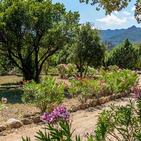 Porto Vecchio - Riviera - St Cyprien Holiday home *