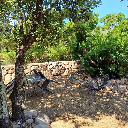 Holiday home Porto Vecchio - Riviera - St Cyprien *