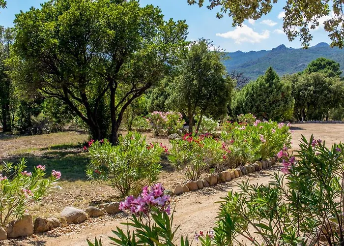 Porto Vecchio - Riviera - St Cyprien Nyaraló *