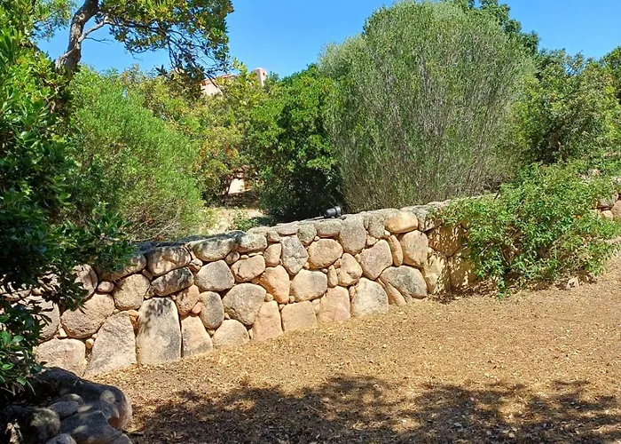 Porto Vecchio - Riviera - St Cyprien * Lecci